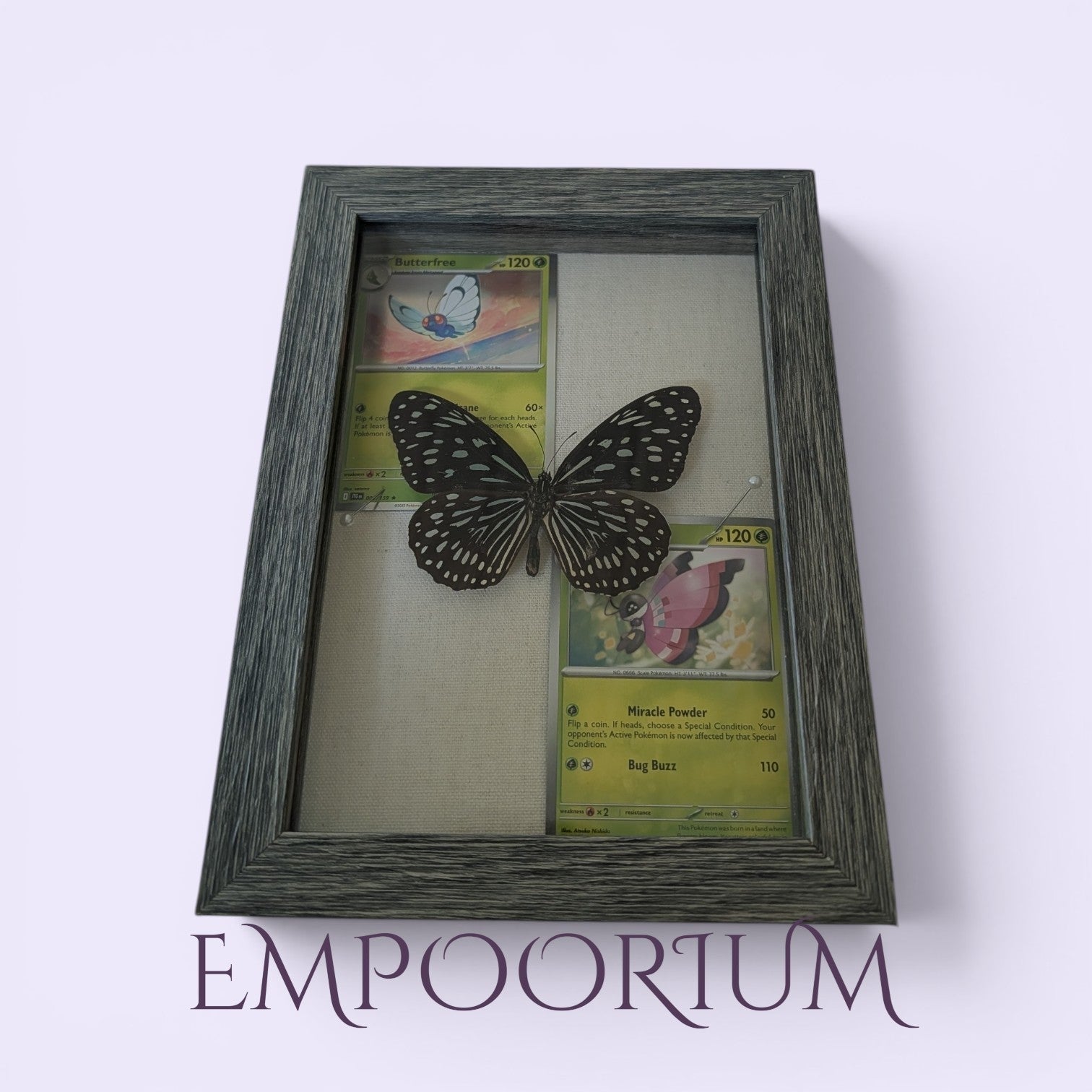 Jenny : Dark Blue Tiger Butterfly Pokémon Shadowbox