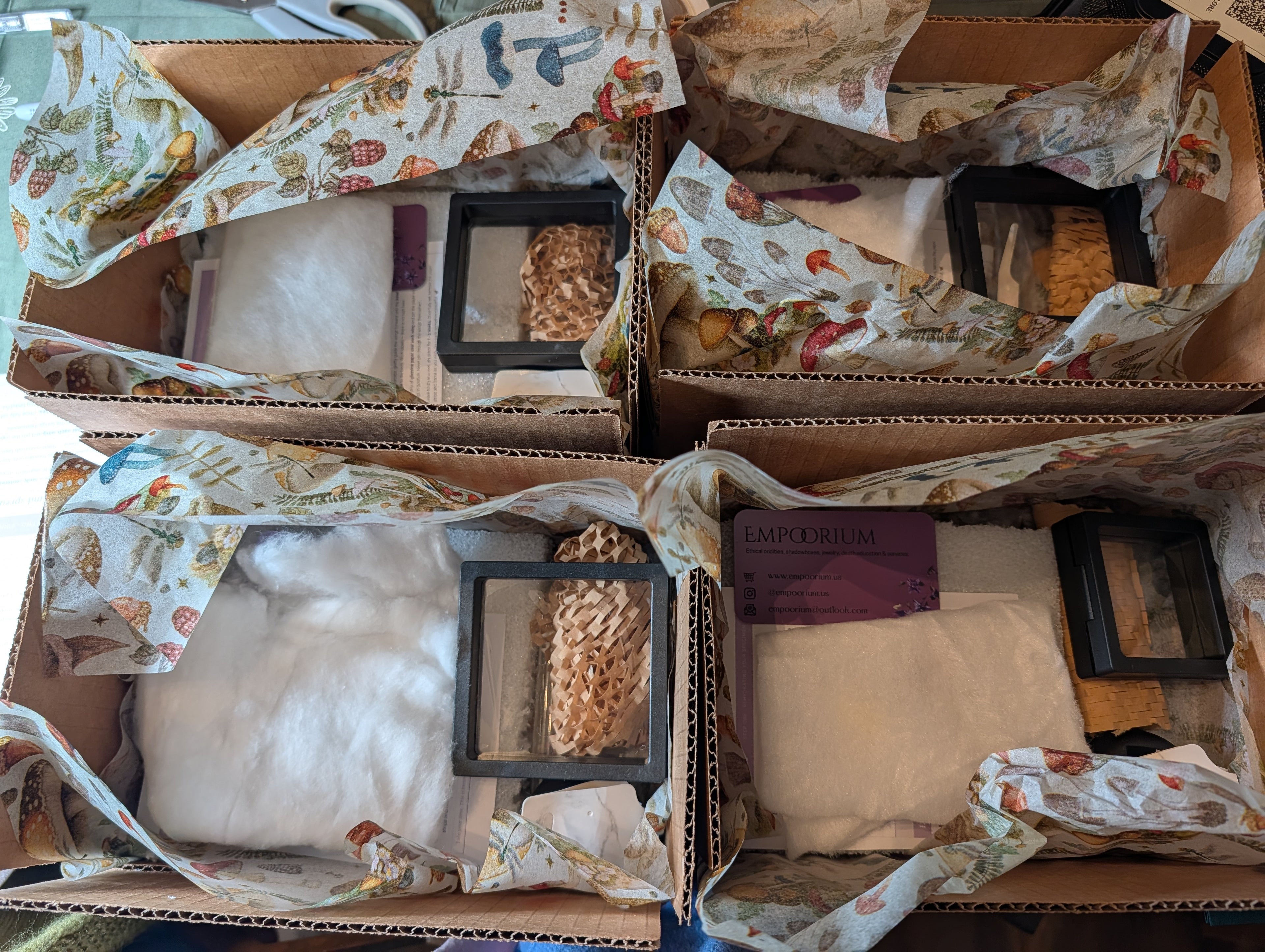 Pin Your Own Bug Box : DIY Butterfly Pinning Kit