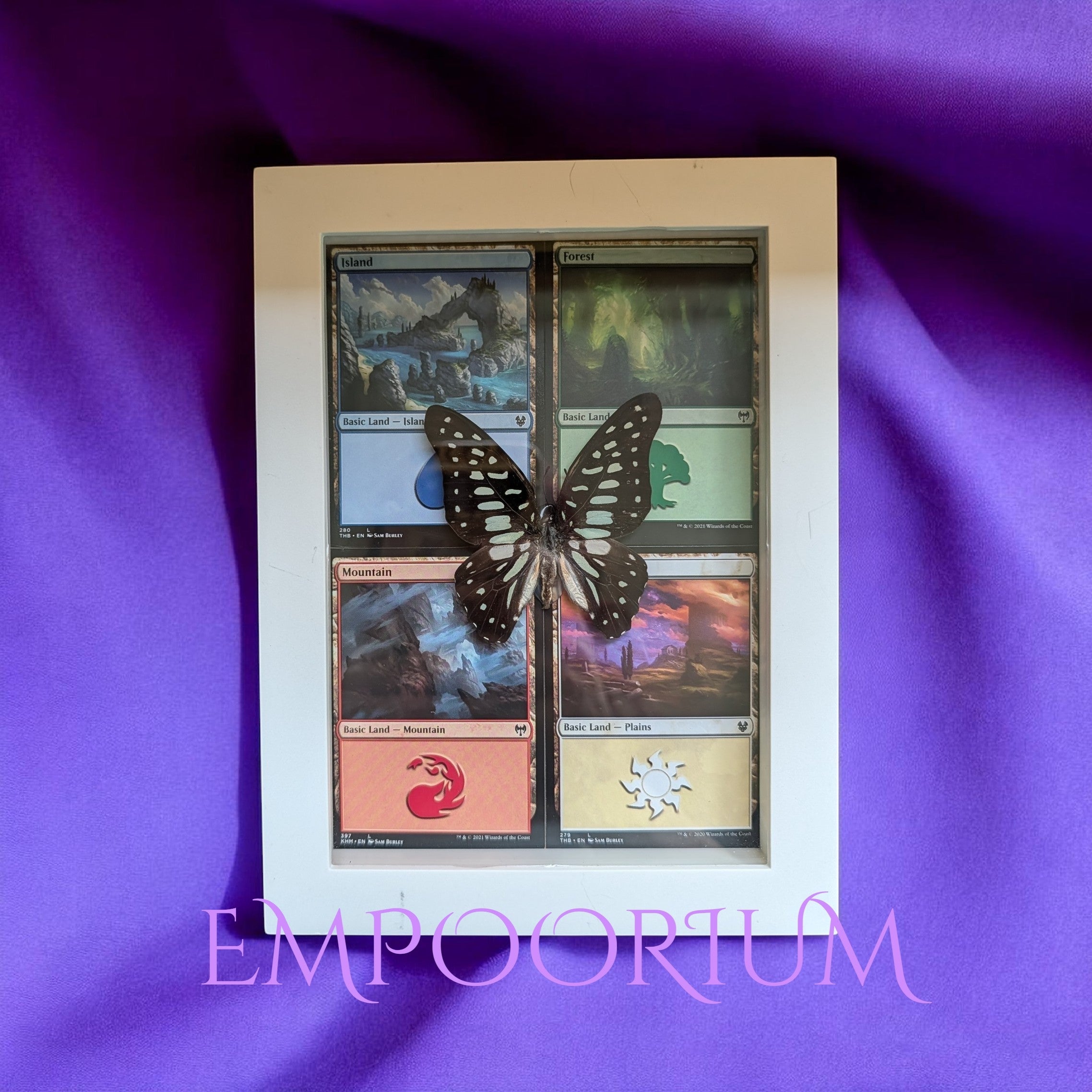 Gaia : Common Jay Swallowtail Magic: The Gathering Shadowbox