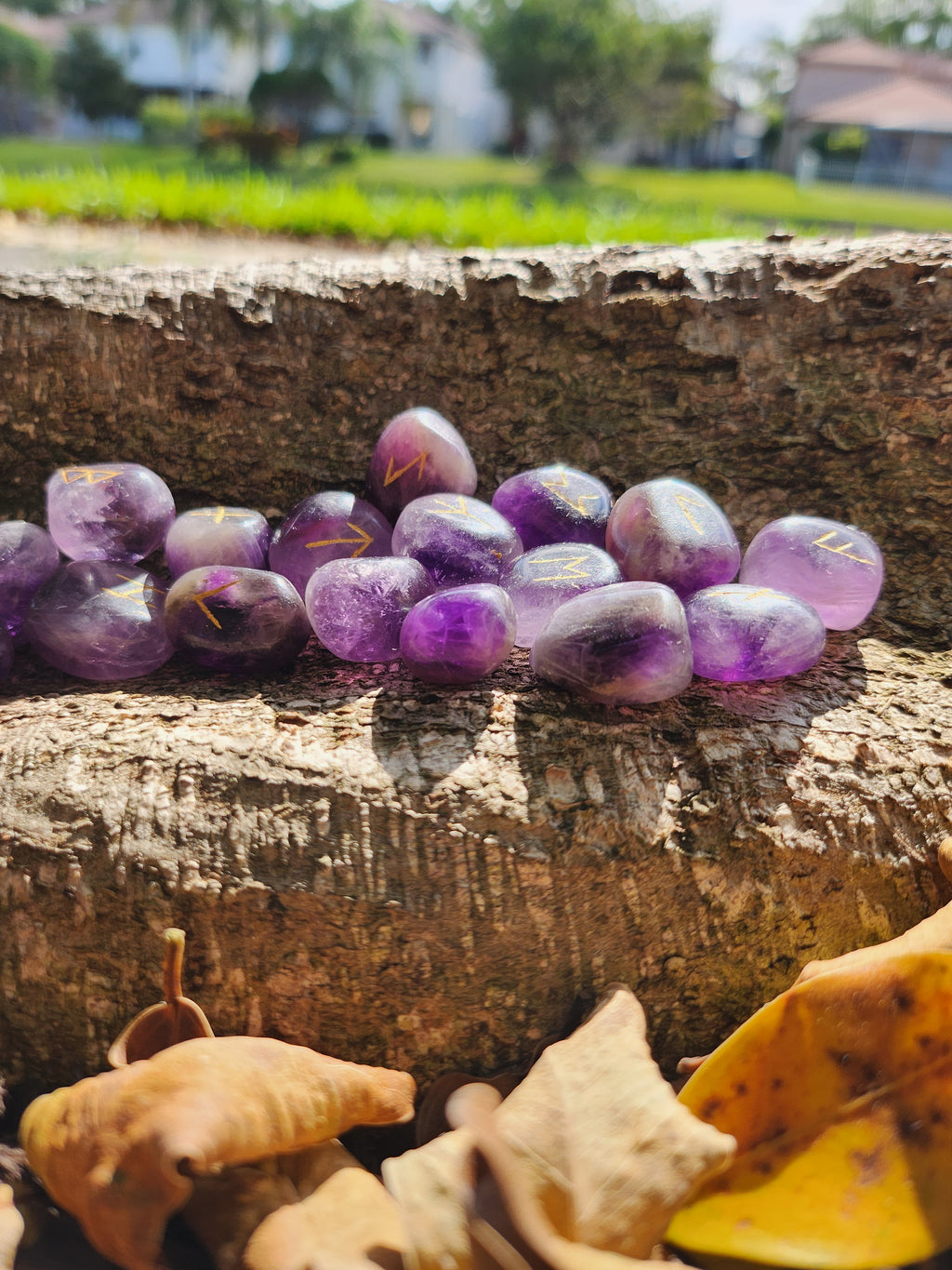 Amethyst Elder Futhark Rune Set