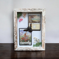 Steinn - MTG Botanical Shadowbox with Ethically Sourced Carpenter Bee