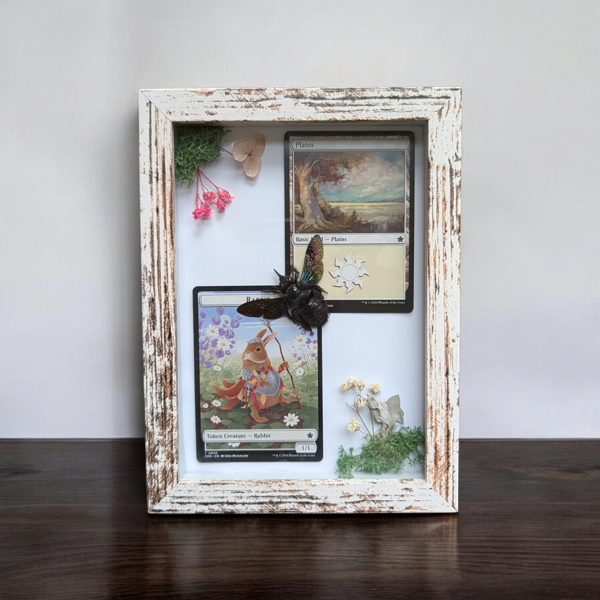 Steinn - MTG Botanical Shadowbox with Ethically Sourced Carpenter Bee